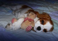 /album/nase-soucasnost/p1170551-1-jpg1/