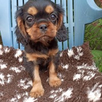 /album/fotogalerie/sara-jpg1/