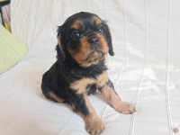 /album/fotogalerie/12xeo6k6-jpg1/