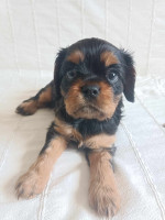 /album/fotogalerie/a5ro4dyt-jpg1/